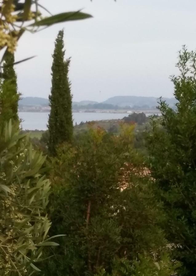 Villa Le Clos Fleuri Narbonne Exterior photo